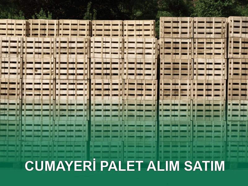 Cumayeri Palet Galeri 3